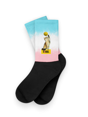 FELIS CATUS HANNO SOCKS BLUE-PINK