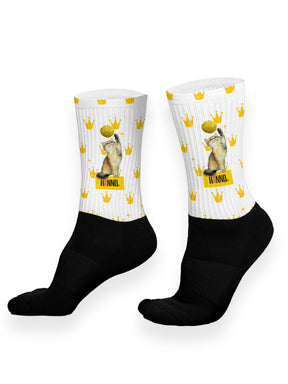 FELIS CATUS HANNO SOCKS KING